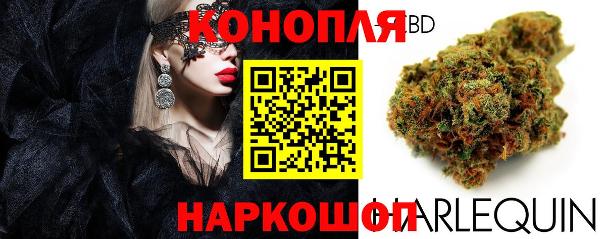 Бошки марихуана индика Карабулак